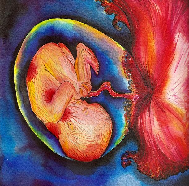 குலவிருட்சம்