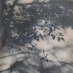 நிசப்த இலை