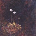 எழுந்தருளும் திகைப்பு