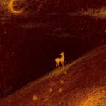 பசியாறும் விதை