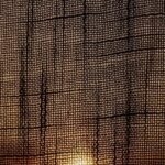 தழும்பு