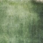 சிறுமலர்